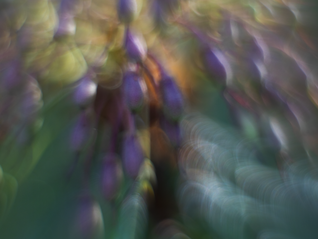 Abstrakti luontokuva, jonka on kuvannut Kristiina Korjonen-Kuusipuro.